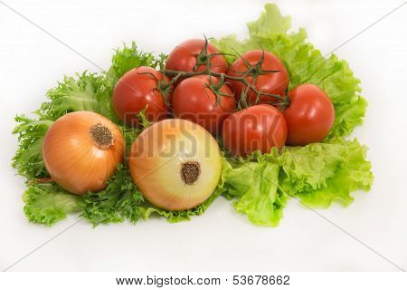 Fresh Green Salad, Onion And Tomatoes