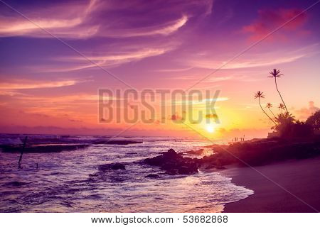 Extremely beautiful  sunset under the coconut plams on Sri Lanka beach.