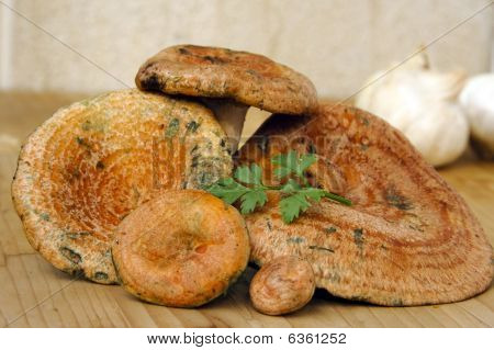 Rovellons