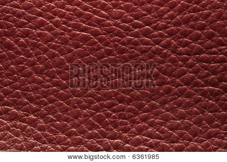 In pelle rossa
