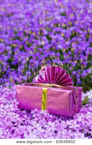 Pink Present Atop A Sea Of Violet Flowers