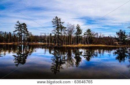 Wilderness Lakeshore