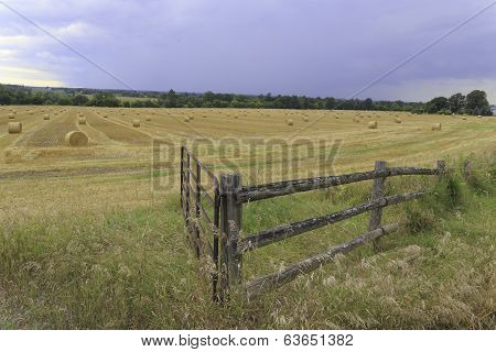 Field of hay bails