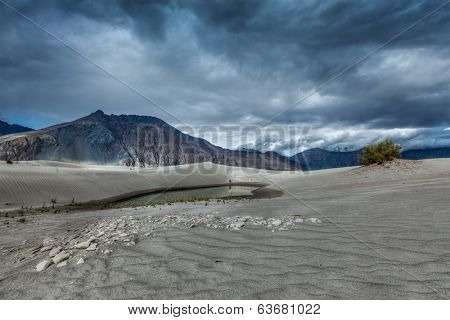 High dynamic range image of sand dunes in Himalayas. Hunder, Nubra valley, Ladakh, India