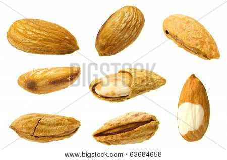 Almond Collection