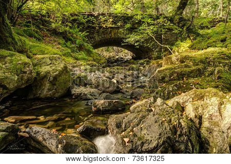 Launchy Gill At Thirlmere