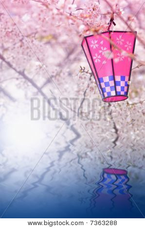 Japanese Lantern