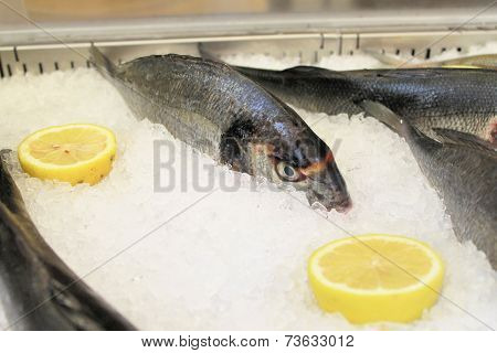 fish
