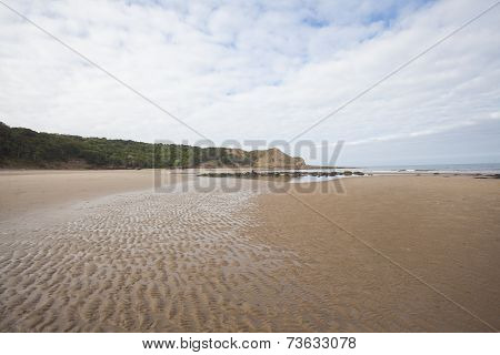 Textured Sandy Beach Seascape