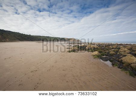Footprints In The Sand Seascape