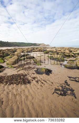 Textured Sand, Rocks And Seawead Natural Coastal Image