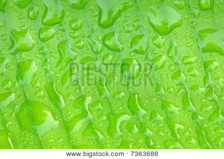 Goutte d'eau