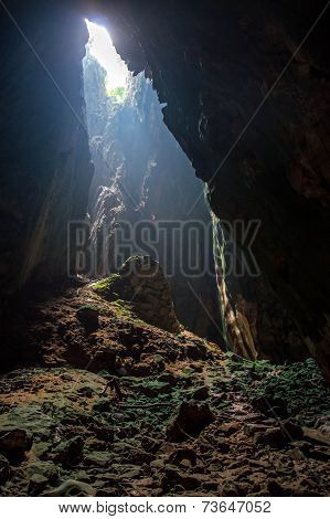 Light window