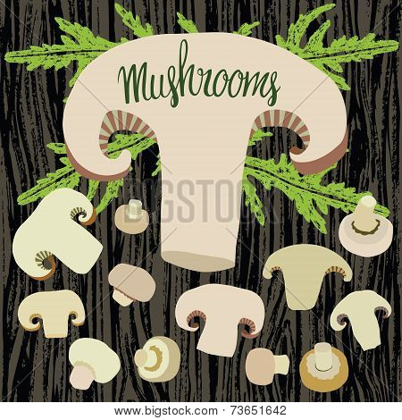Mushrooms Set