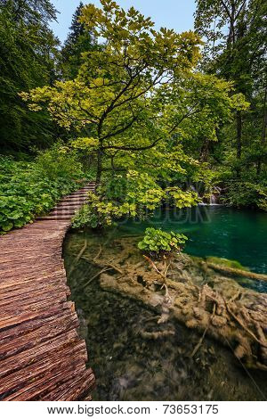 Plitvice Lakes National Park, Croatia