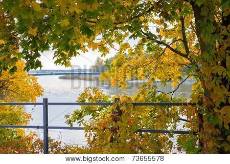 Autumn