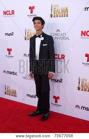 LOS ANGELES - OCT 10:  Xolo Mariduena at the 2014 NCLR ALMA Awards at Civic Auditorium on October 10, 2014 in Pasadena, CA