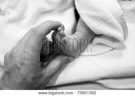 Newborn