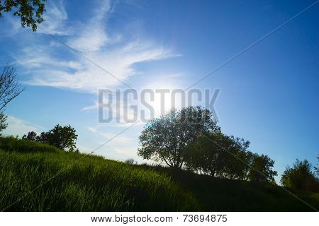 Blue Sky