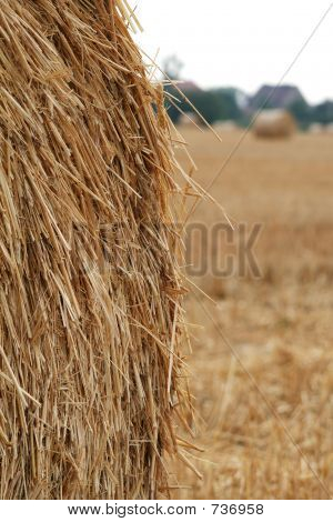 Nach der Ernte 