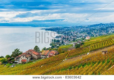 Beautiful view on Lavaux vineyards and the lake Geneva, Vaud, Switzerland, autumn