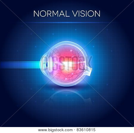 Normal Eye Vision