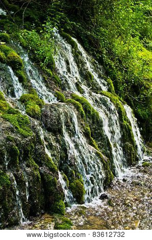 Wellspring and cascade at Tara mountain and national park