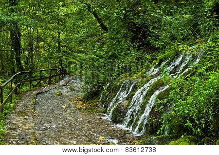 Wellspring and cascade at Tara mountain and national park
