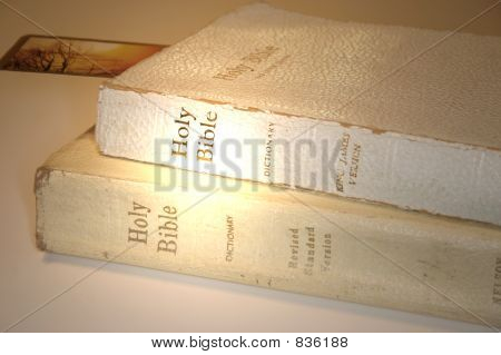 Świętej Biblii