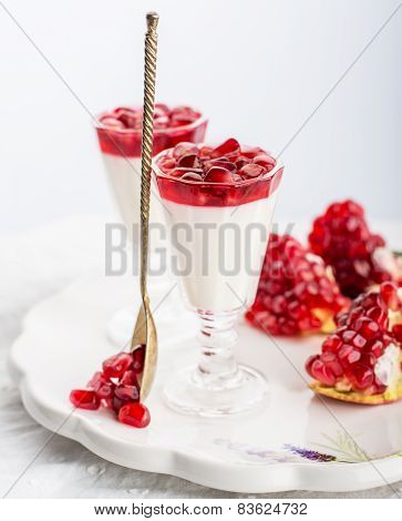pannacotta  with pomegranate jelly anate syrup