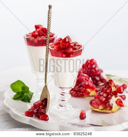 pannacotta  with pomegranate jelly anate syrup