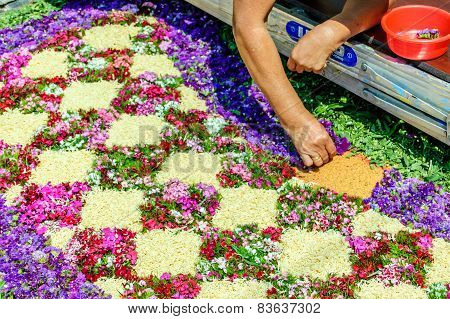 Making A Palm Sunday Carpet, Antigua, Guatemala