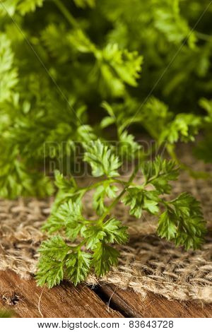 Raw Organic French Parsley Chervil