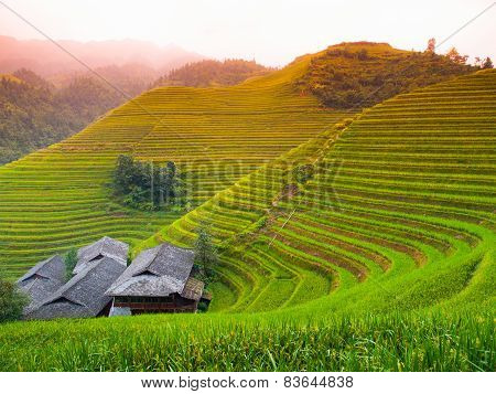 Rice terraces and traditional village