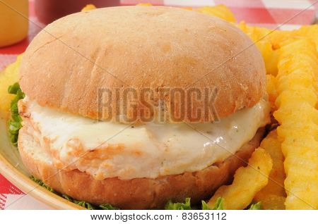 Chicken Sandwich Close Up