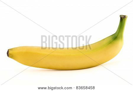 Single yellow spotless banana over white