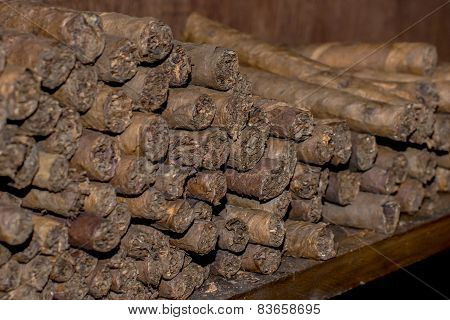Cuban Cigars