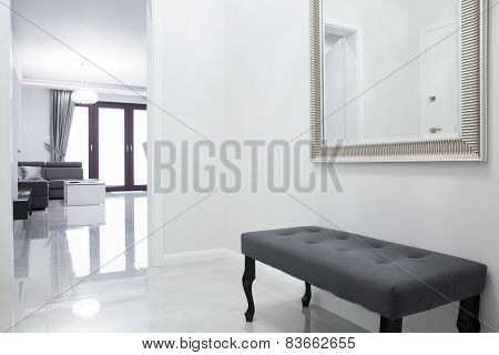Anteroom In Luxury Apartment