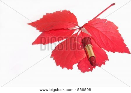 สีแดง lipsick