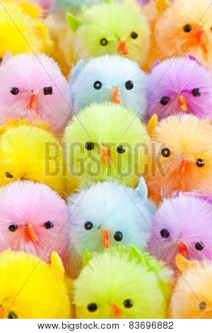 Colorful Easter Chicks