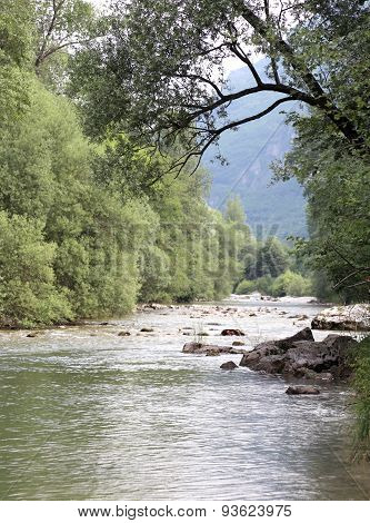 Wild Landscape With Mountain Stream And Trees