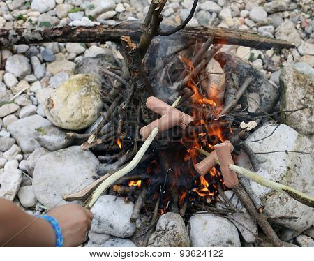 Sausage Cooked In Fire During The Summer Camp Of The Boyscout