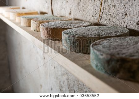 French Goat Cheese Maturing In Basement
