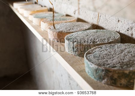 French Goat Cheese Maturing In Basement