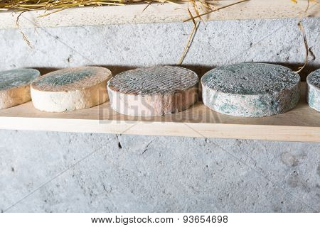 French Goat Cheese Maturing In Basement