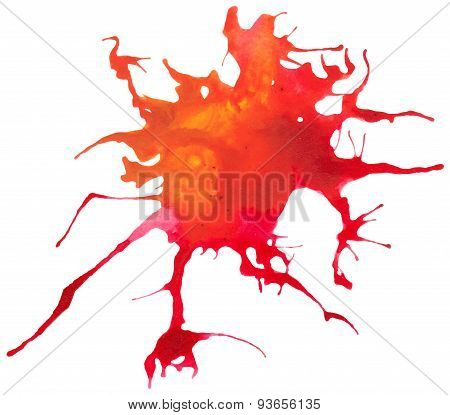 Beautiful traced vector watercolor splatter.