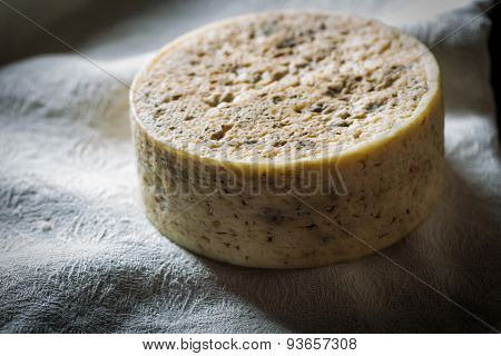 French goat cheese with mystic light effect