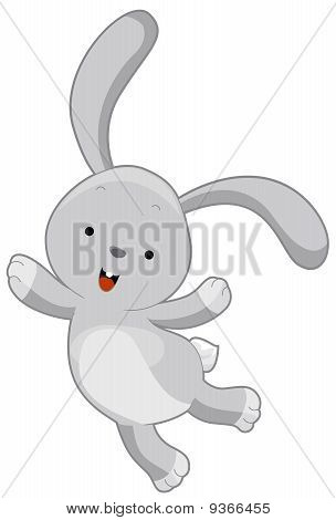 Rabbit