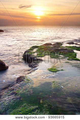 Seascape