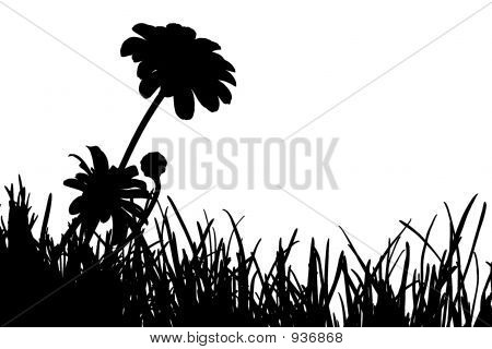 รูปเงาดำของโดว์